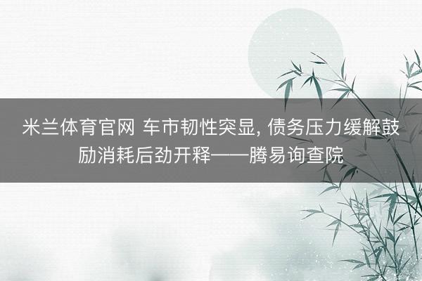 米兰体育官网 车市韧性突显， 债务压力缓解鼓励消耗后劲开释——腾易询查院