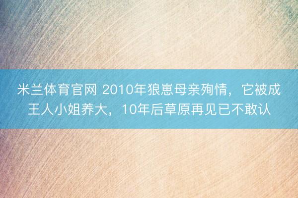 米兰体育官网 2010年狼崽母亲殉情，它被成王人小姐养大，10年后草原再见已不敢认