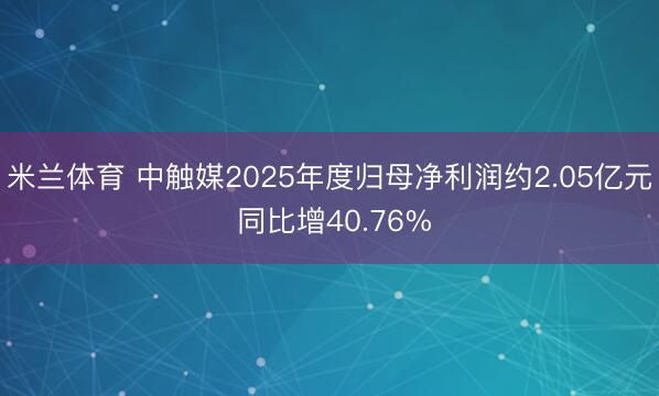米兰体育 中触媒2025年度归母净利润约2.05亿元 同比增40.76%