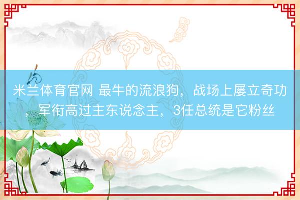 米兰体育官网 最牛的流浪狗，战场上屡立奇功，军衔高过主东说念主，3任总统是它粉丝