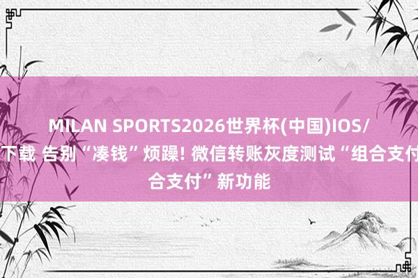 MILAN SPORTS2026世界杯(中国)IOS/安卓官方下载 告别“凑钱”烦躁! 微信转账灰度测试“组合支付”新功能
