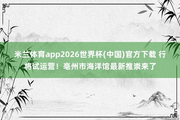 米兰体育app2026世界杯(中国)官方下载 行将试运营!亳州市海洋馆最新推崇来了
