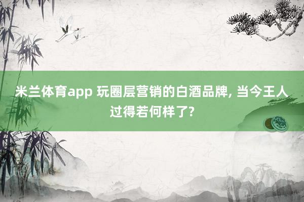 米兰体育app 玩圈层营销的白酒品牌, 当今王人过得若何样了?
