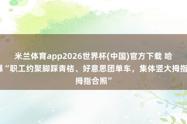 米兰体育app2026世界杯(中国)官方下载 哈啰被曝“职工约聚脚踩青桔、好意思团单车，集体竖大拇指合照”