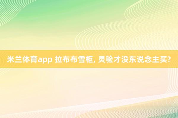 米兰体育app 拉布布雪柜， 灵验才没东说念主买?