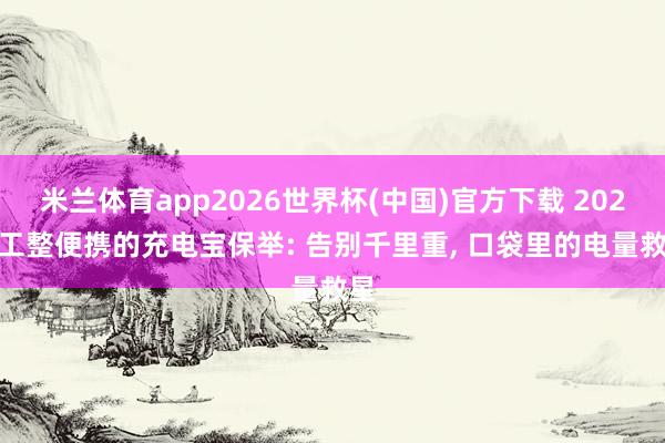 米兰体育app2026世界杯(中国)官方下载 2026 工整便携的充电宝保举: 告别千里重， 口袋里的电量救星