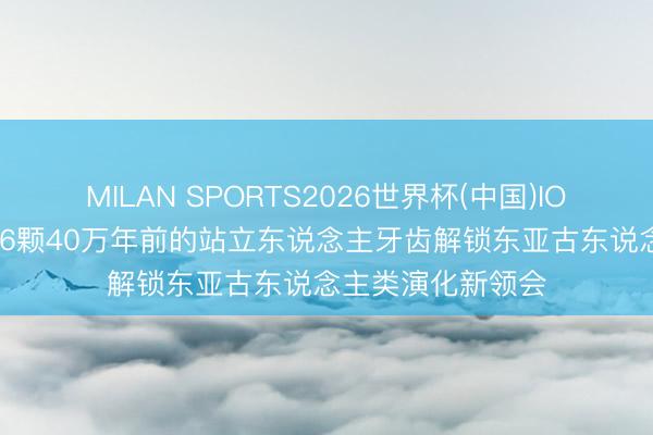 MILAN SPORTS2026世界杯(中国)IOS/安卓官方下载 6颗40万年前的站立东说念主牙齿解锁东亚古东说念主类演化新领会