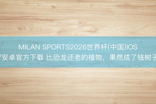 MILAN SPORTS2026世界杯(中国)IOS/安卓官方下载 比恐龙还老的植物，果然成了钱树子
