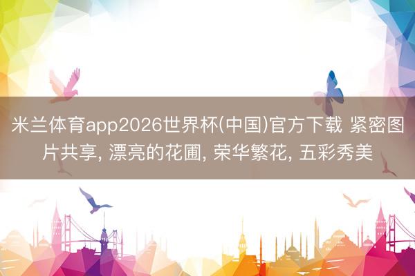 米兰体育app2026世界杯(中国)官方下载 紧密图片共享， 漂亮的花圃，<a href=