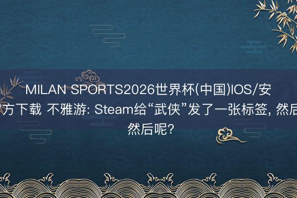 MILAN SPORTS2026世界杯(中国)IOS/安卓官方下载 不雅游: Steam给“武侠”发了一张标签, 然后呢?