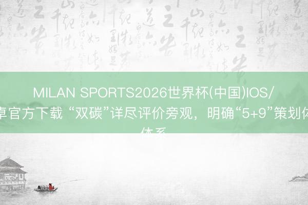 MILAN SPORTS2026世界杯(中国)IOS/安卓官方下载 “双碳”详尽评价旁观，明确“5+9”策划体系